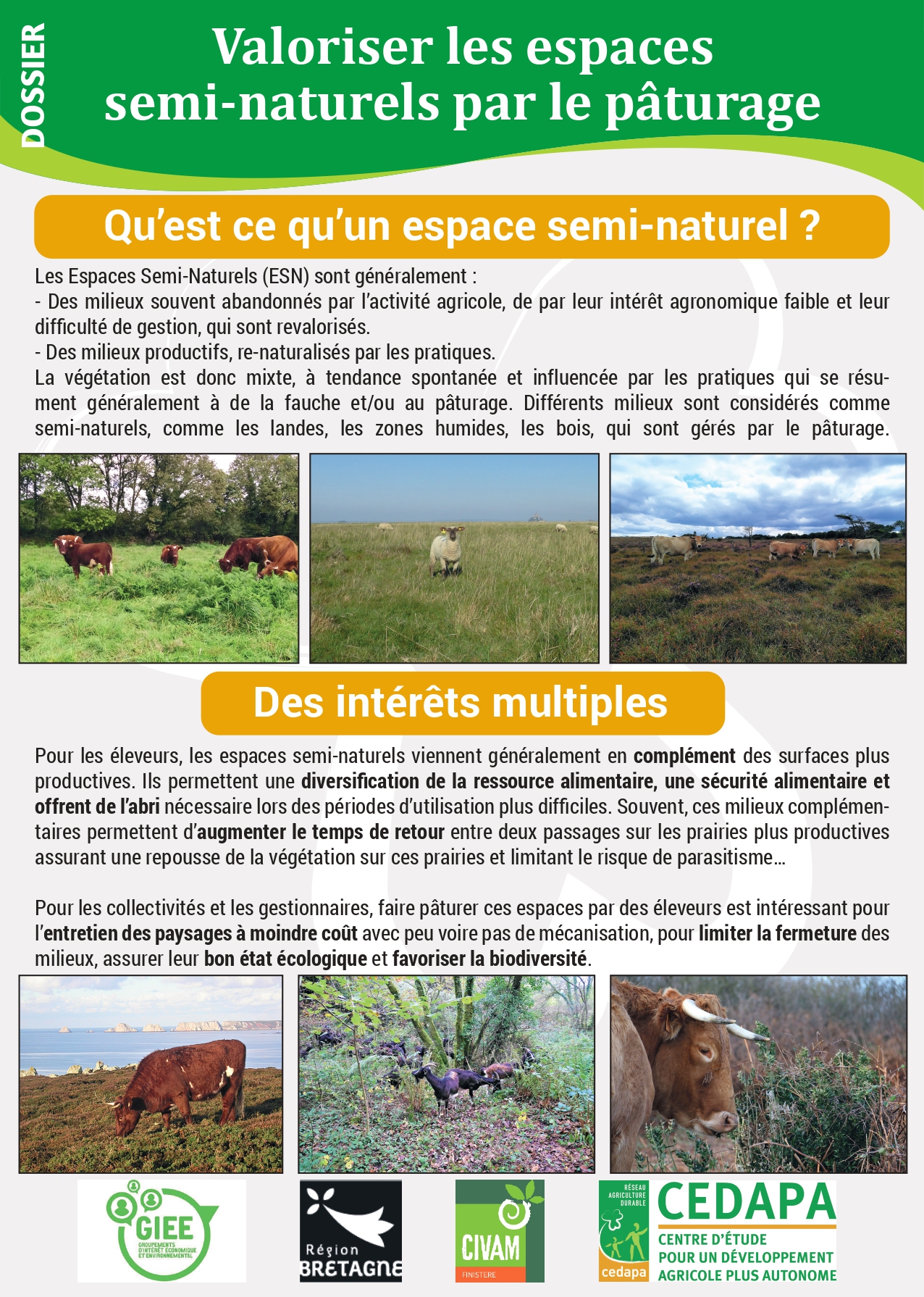 Définition et intérêts des ESN