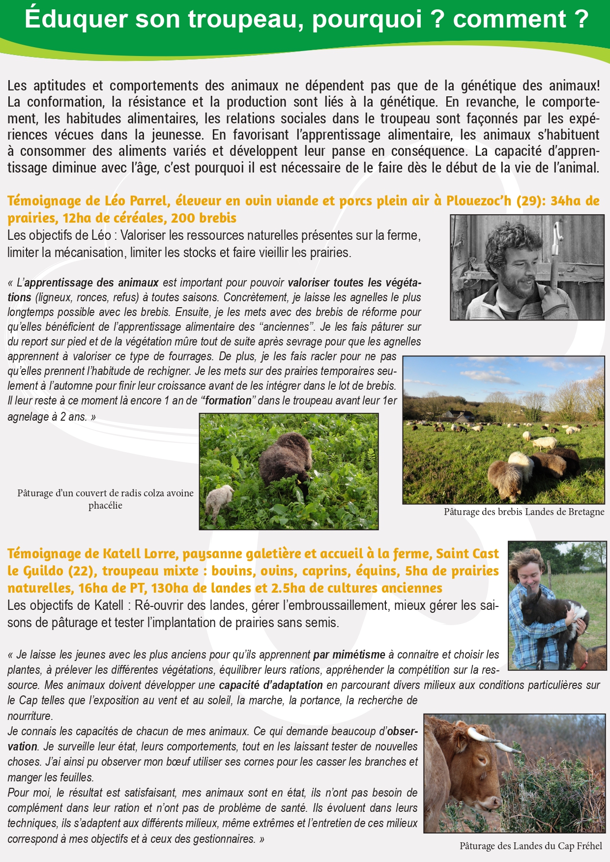 Eduquer son troupeau au pâturage des ESN