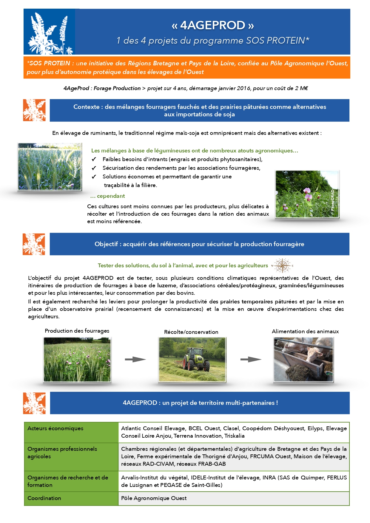 Projet 4AGEProd - SOS Protéines