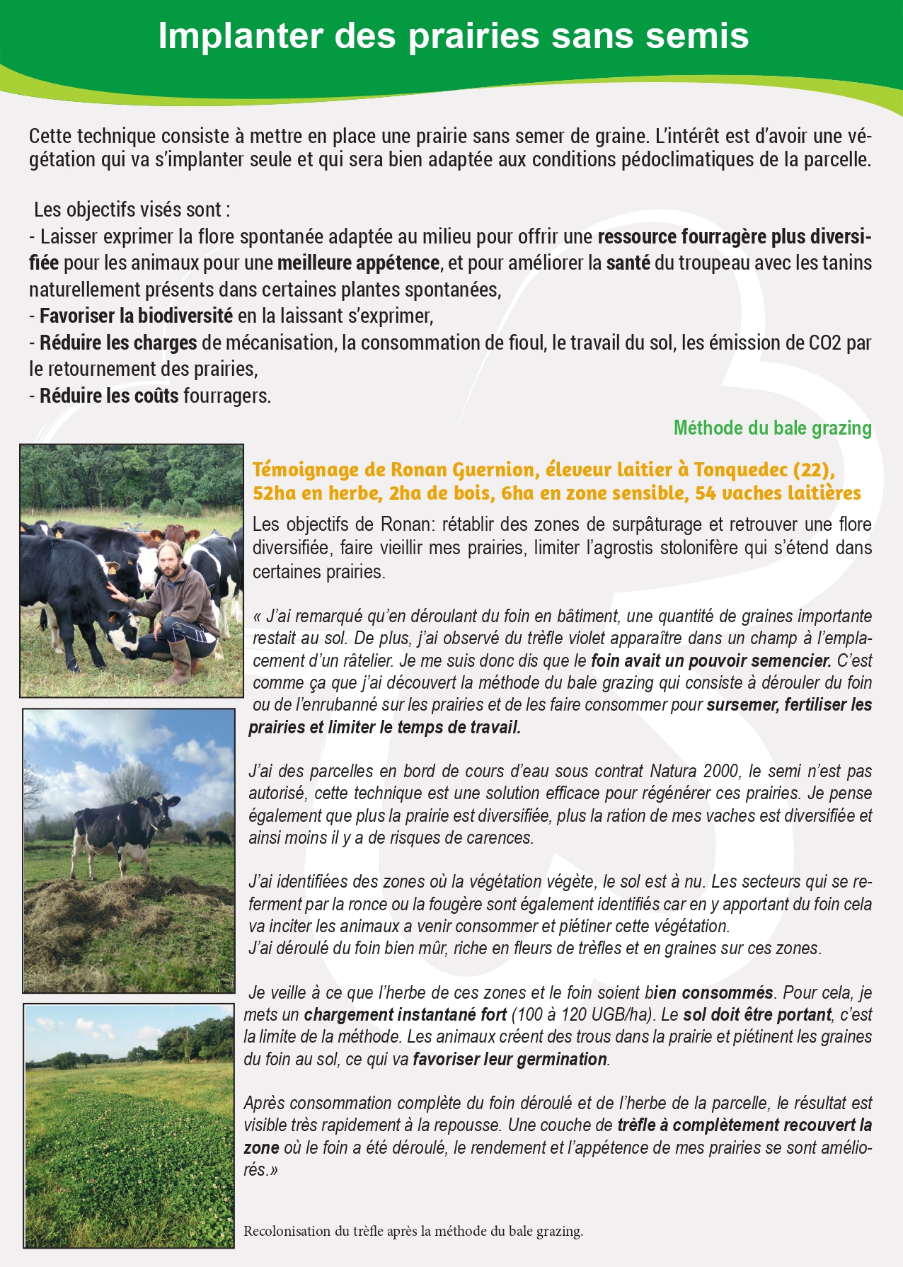 Implanter des prairies sans semis