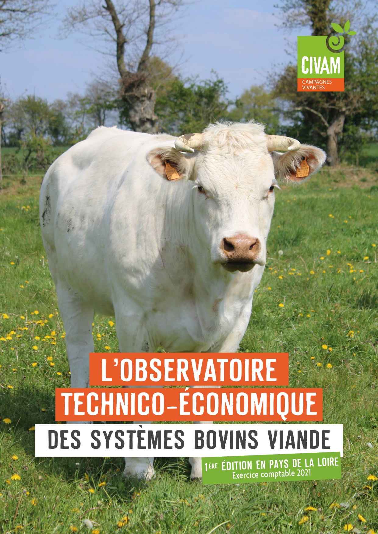 Observatoire bovin-viande réseau Civam