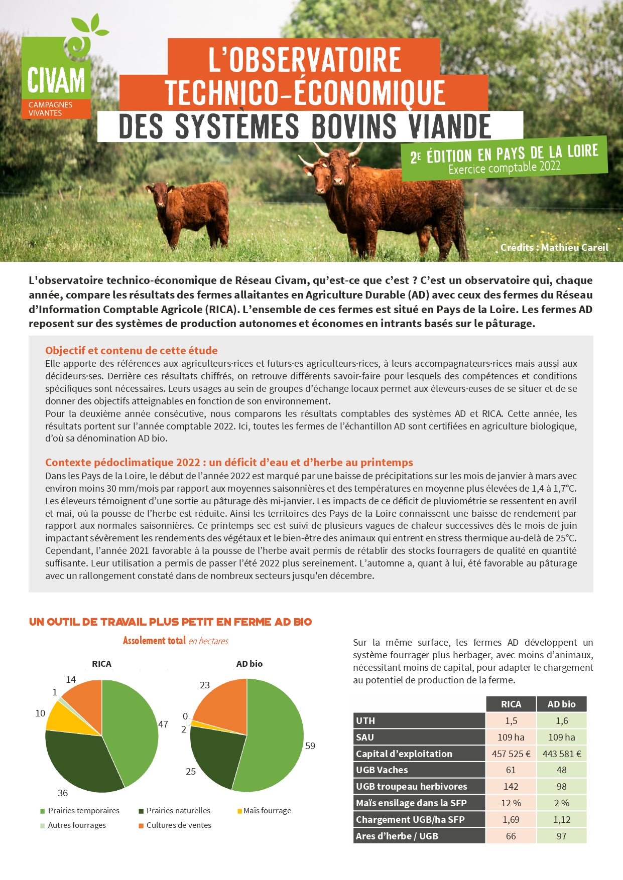 Observatoire bovin-viande 2024