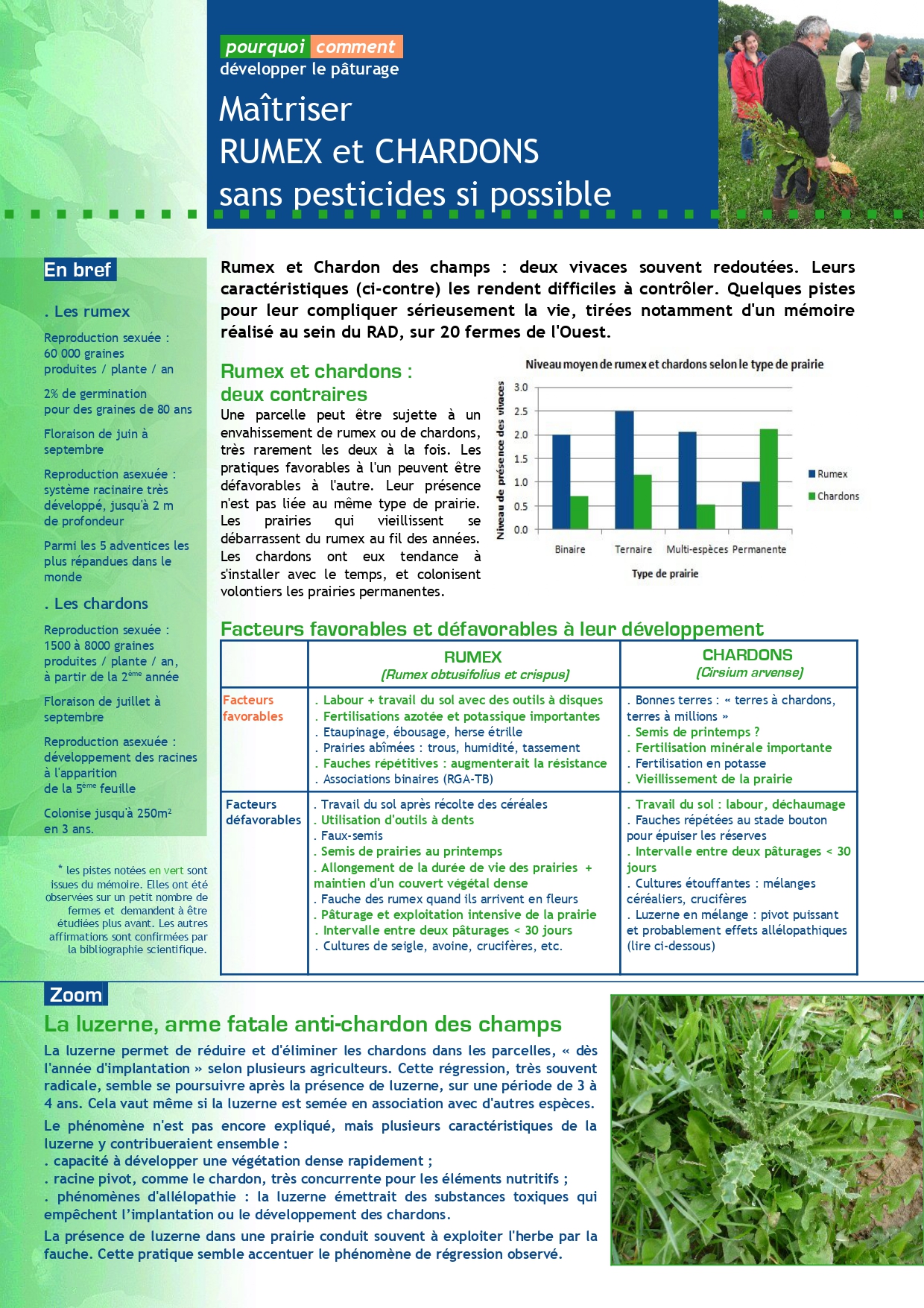 Maitriser Rumex et chardons