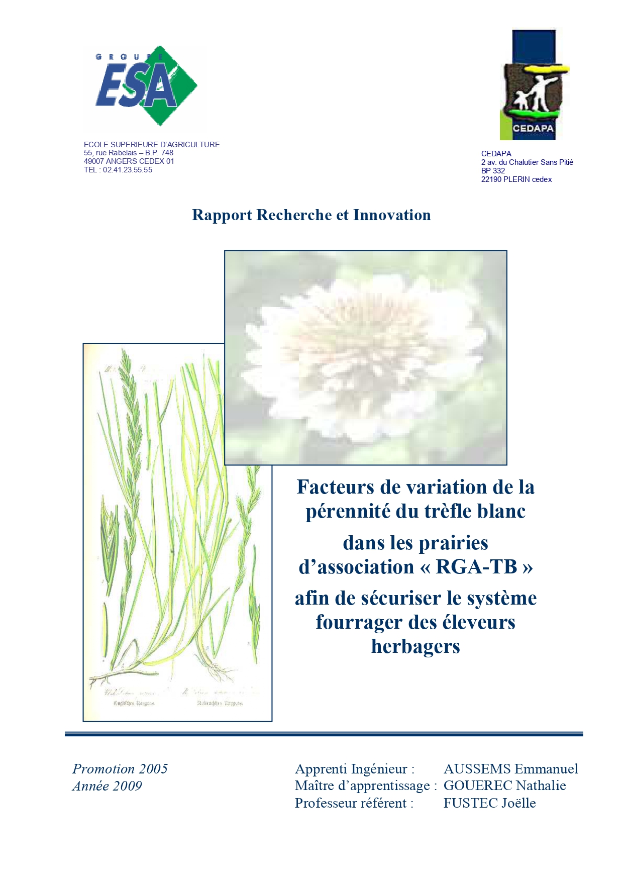 Pérennité du trèfle blanc