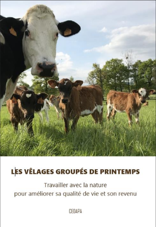 Les vêlages groupés de printemps