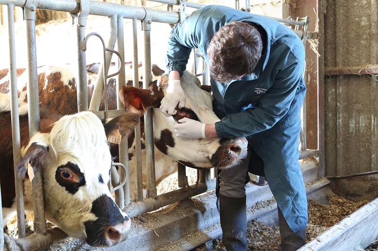 Maîtriser les risques sanitaires sur son élevage